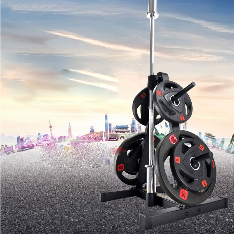 체육관 피트니스 조리개 바벨 디스크 랙 아령 플레이트  - Sports Equipment Rack 리뷰 및 가격